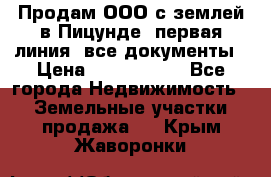 Продам ООО с землей в Пицунде, первая линия, все документы › Цена ­ 9 000 000 - Все города Недвижимость » Земельные участки продажа   . Крым,Жаворонки